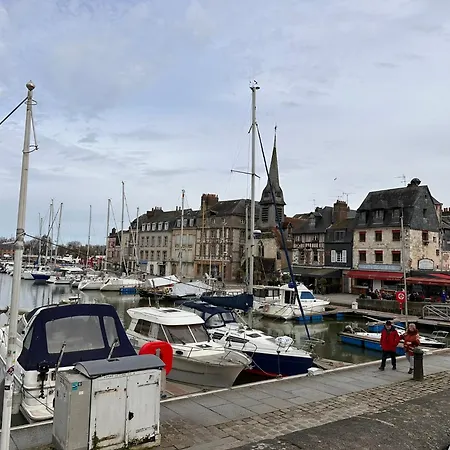 Cosy In Center הונפלר